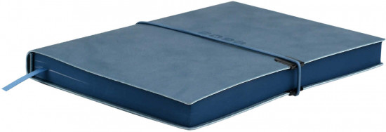 Ежедневник датированный на 2026 год