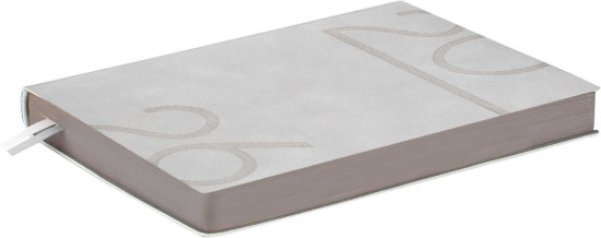 Ежедневник датированный на 2026 год