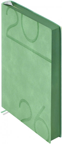 Ежедневник датированный на 2026 год