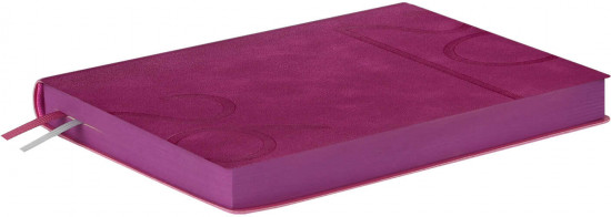 Ежедневник датированный на 2026 год