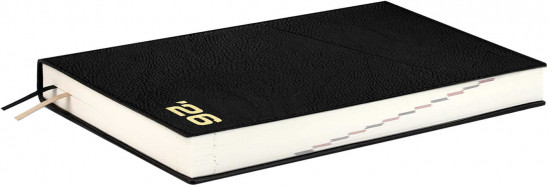 Ежедневник датированный на 2026 год