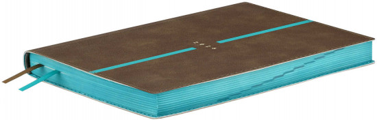 Ежедневник датированный на 2026 год