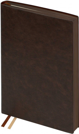 Ежедневник датированный на 2026 год