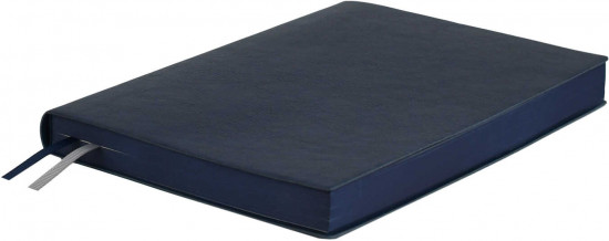 Ежедневник датированный на 2026 год