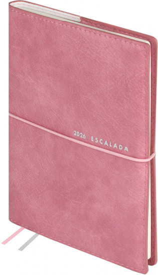 Ежедневник датированный на 2026 год