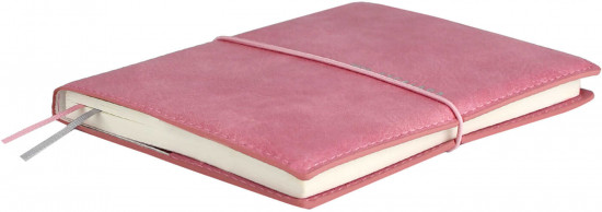 Ежедневник датированный на 2026 год