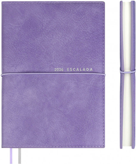 Ежедневник датированный на 2026 год