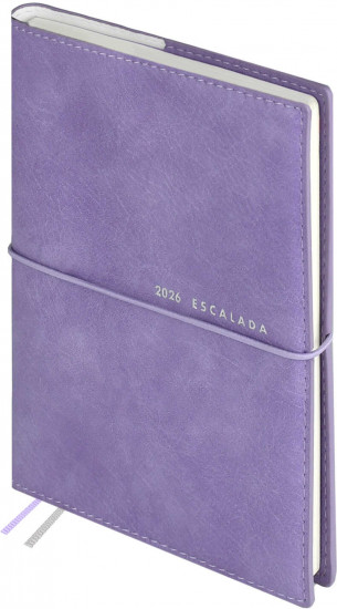 Ежедневник датированный на 2026 год