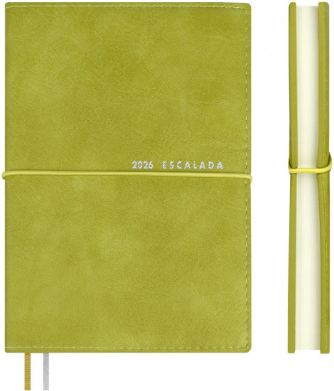 Ежедневник датированный на 2026 год