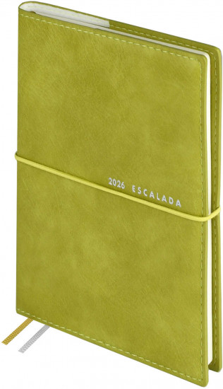 Ежедневник датированный на 2026 год