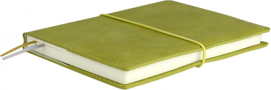 Ежедневник датированный на 2026 год