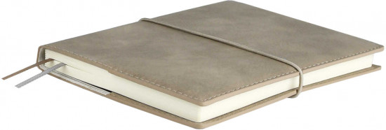 Ежедневник датированный на 2026 год