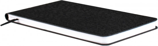 Ежедневник датированный на 2026 год