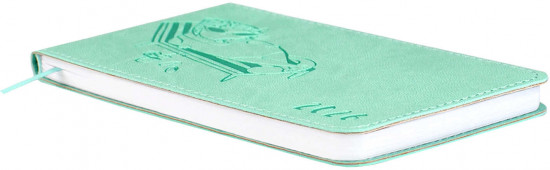 Ежедневник датированный на 2026 год