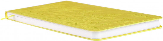 Ежедневник датированный на 2026 год