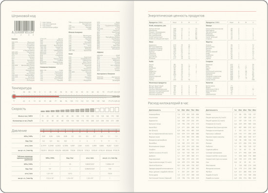 Ежедневник датированный на 2026 год «Irise»