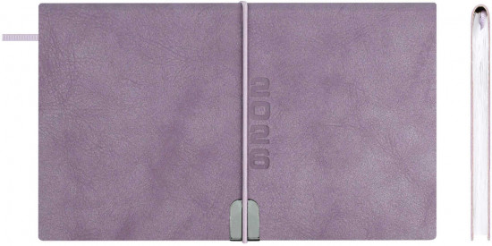 Ежедневник датированный на 2026 год