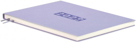 Ежедневник датированный на 2026 год