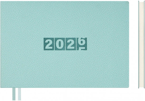 Ежедневник датированный на 2026 год