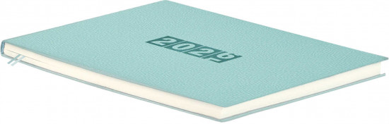 Ежедневник датированный на 2026 год