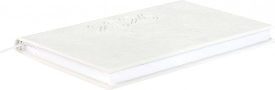 Ежедневник датированный на 2026 год