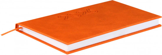 Ежедневник датированный на 2026 год