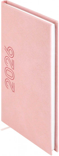Ежедневник датированный на 2026 год