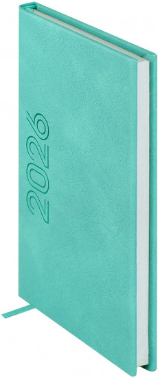 Ежедневник датированный на 2026 год