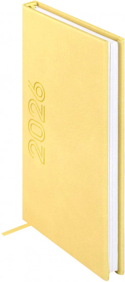 Ежедневник датированный на 2026 год