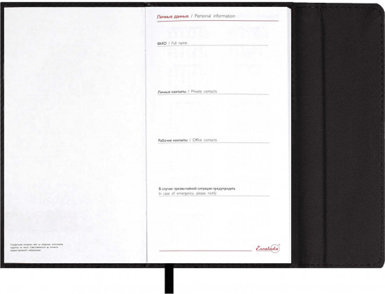 Ежедневник датированный на 2026 год