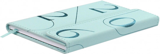 Ежедневник датированный на 2026 год