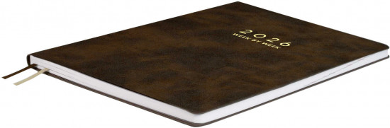 Ежедневник датированный на 2026 год