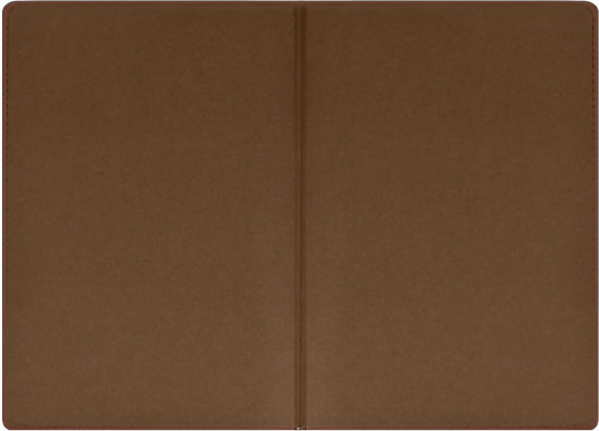 Ежедневник датированный на 2026 год