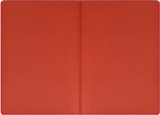 Ежедневник датированный на 2026 год