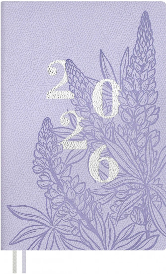 Ежедневник датированный на 2026 год