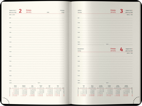 Ежедневник датированный на 2026 год