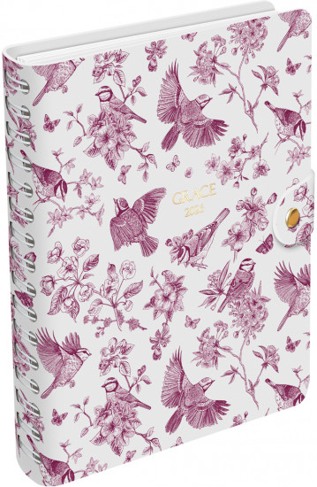 Ежедневник датированный на 2026 год «Birdies»