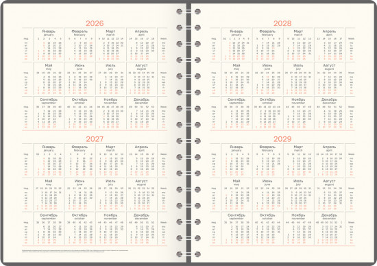 Ежедневник датированный на 2026 год «Birdies»