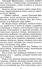 Конь с розовой гривой - Фото 4