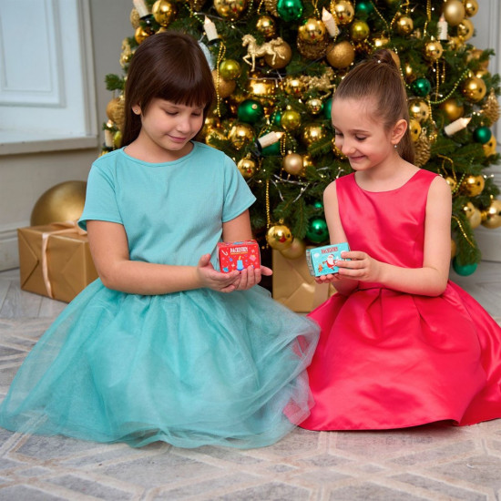 Набор для проведения раскопок «Новогодние сюрпризы»