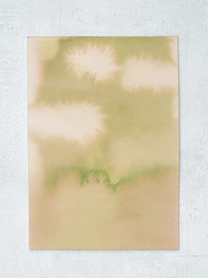 Чернила распадающиеся для рисования и каллиграфии, болотная королева