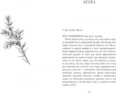 Сердце зимы - Фото 2