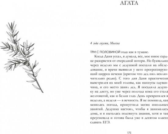 Сердце зимы