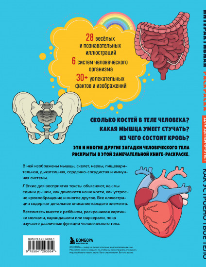 Как устроено твоё тело. Интерактивная раскраска