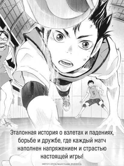 Волейбол! Книга 2. Вперед, команда «Карасуно»! Соперники