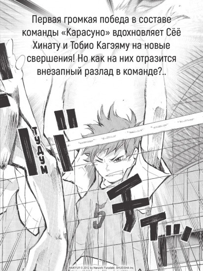 Волейбол! Книга 2. Вперед, команда «Карасуно»! Соперники