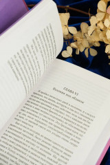 Пурпурная Земля - Фото 11