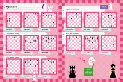 Учимся играть в шахматы. 1-й год обучения - Фото 4