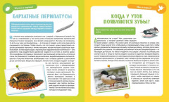 Невероятные животные - Фото 3