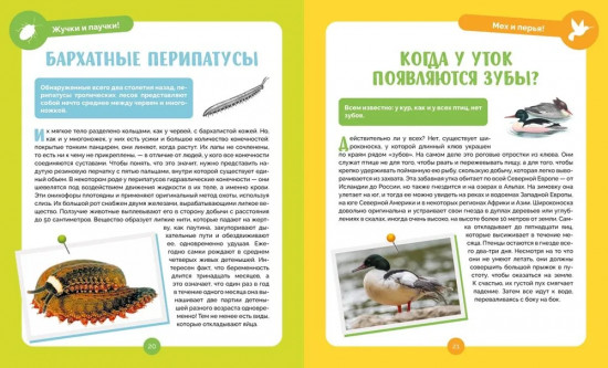 Невероятные животные